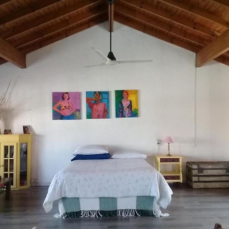 La Casa De Los Murales อเบญาเนดา ภายนอก รูปภาพ